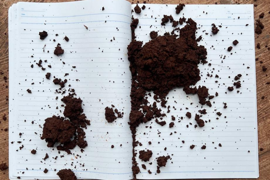 Beneath Our Feet: Speculative Writing with the Living Earth