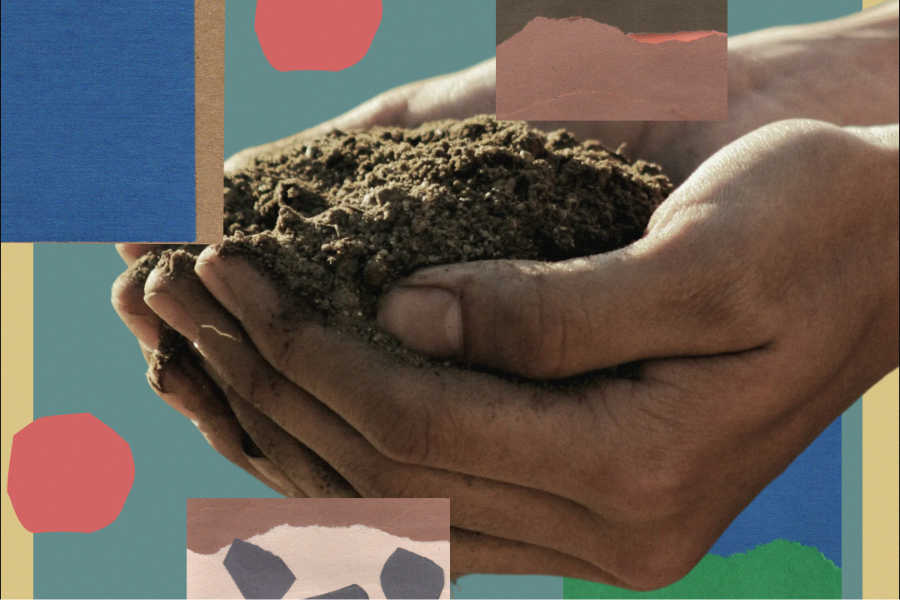 “Do I even think about soil?” (A Zine)