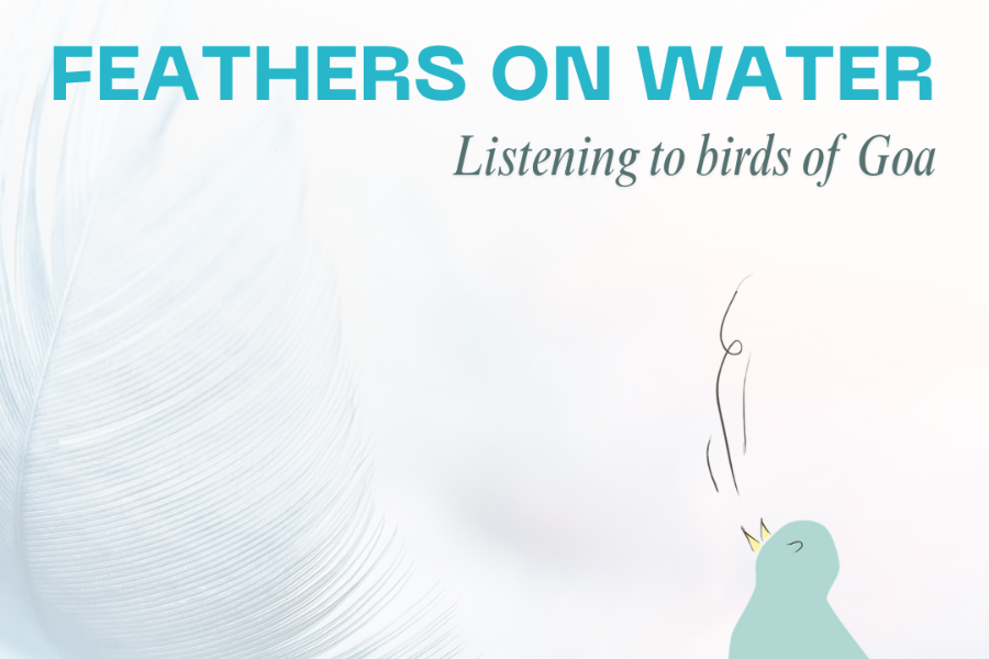 Feathers on Water: Listening to the Birds of Goa